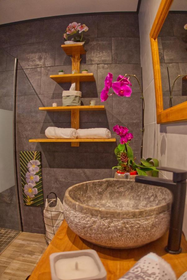 Ka Hema - Maison Entiere Avec Jacuzzi Et Vue Sur Mer Сен-Жозеф Екстериор снимка